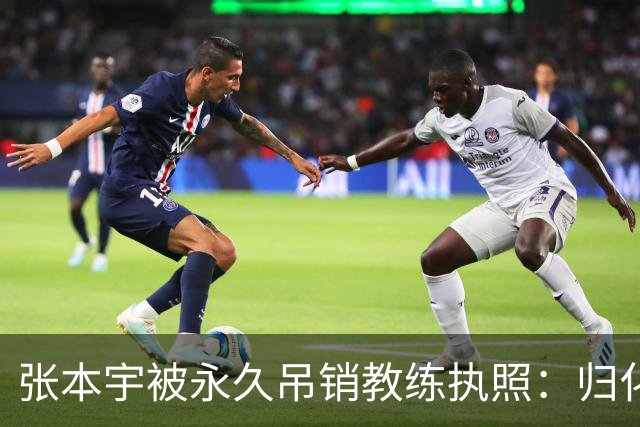 张本宇被永久吊销教练执照：归化教练到底踩了日本乒协哪条红线？