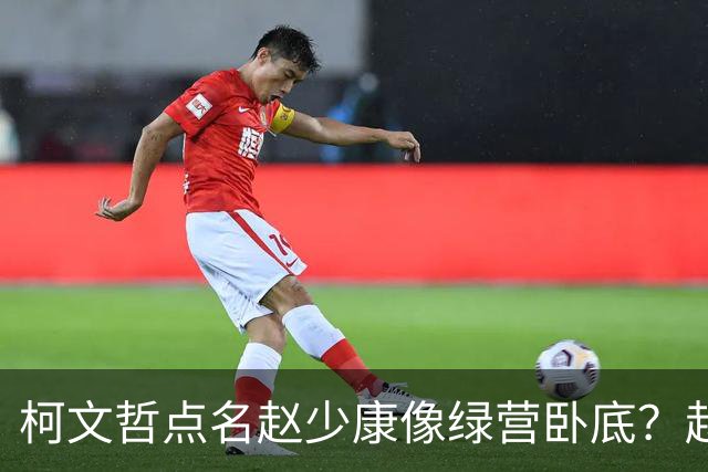 柯文哲点名赵少康像绿营卧底？赵少康急忙回应，柯向郑丽文亮底牌