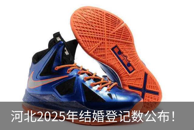 河北2025年结婚登记数公布！