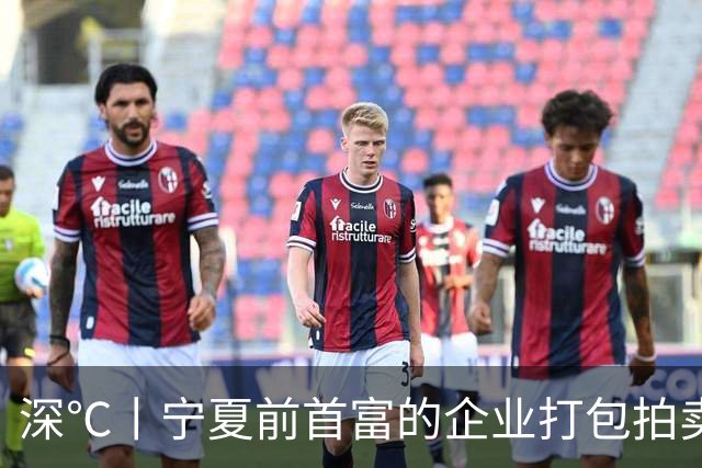 深℃丨宁夏前首富的企业打包拍卖，起拍价7.39亿