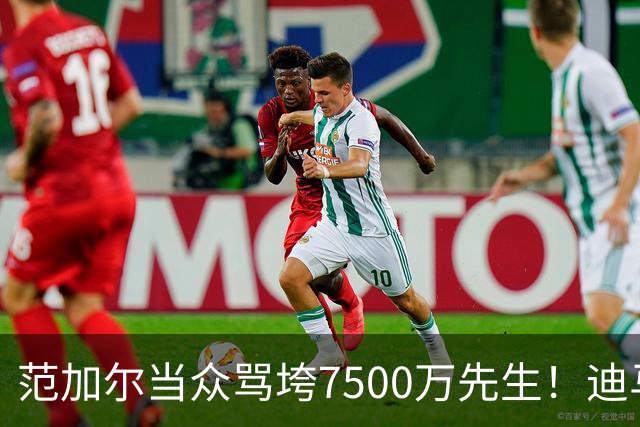 范加尔当众骂垮7500万先生！迪马利亚曼联陨落真相，埃雷拉全说了