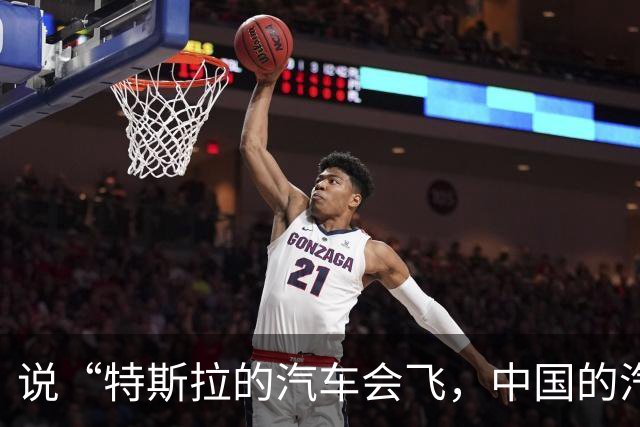 说“特斯拉的汽车会飞，中国的汽车刹车踏板会断”的人，不是蠢，就是坏