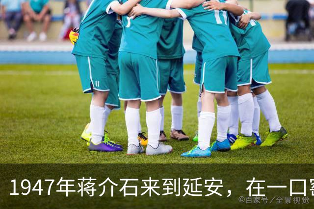 1947年蒋介石来到延安，在一口窑洞问村民：毛主席跟你说过话吗？